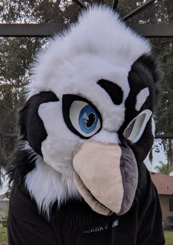 B/W Crow Premade B/W Crow Premade