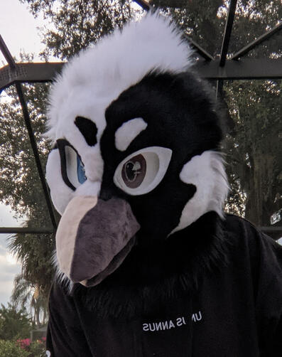B/W Crow Premade B/W Crow Premade