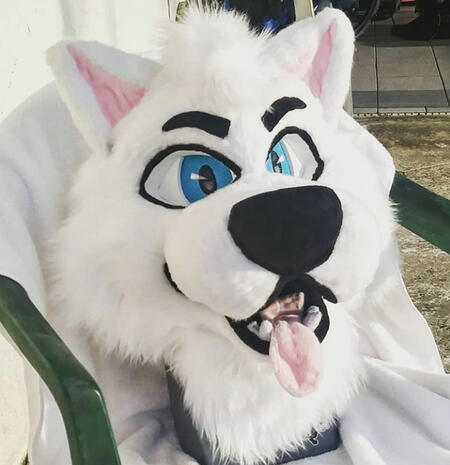 White Dog White Dog